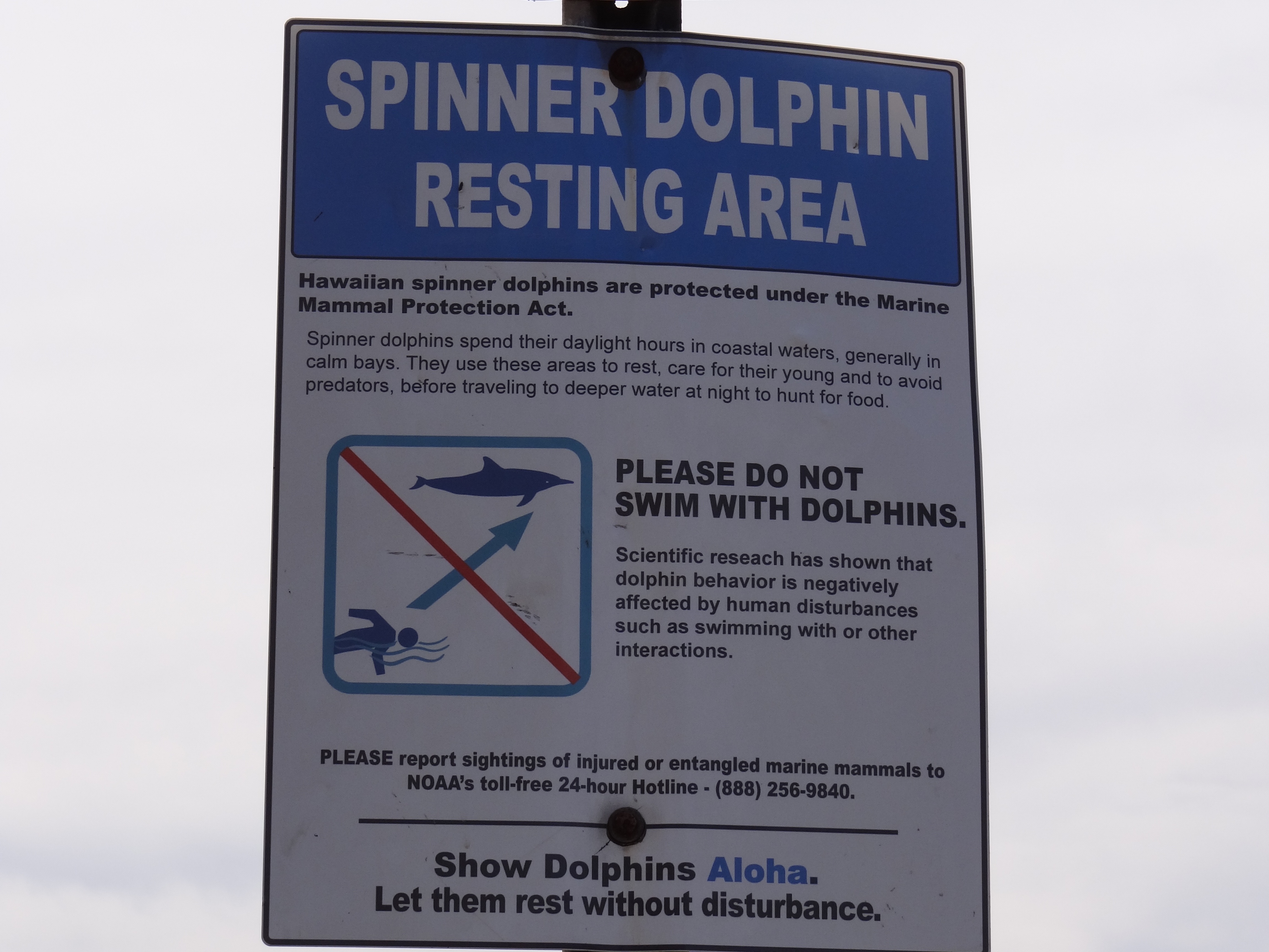 Sign - Spinner Dolphins Maui